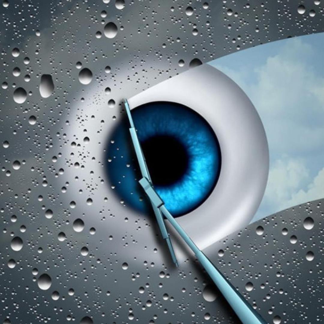 Wild blueberries rich in anthocyanins for eye health